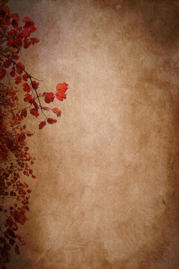 Autumn Leaves Paper Texture Background
