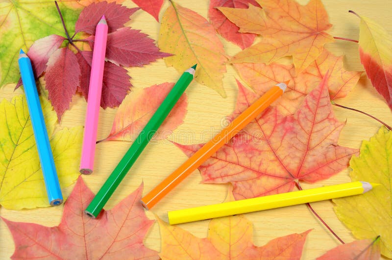 Autumn leaves and pencils