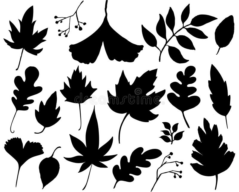 Autumn leaves set. Black leaf silhouettes isolated on white background. Graphic elements for autumn designs