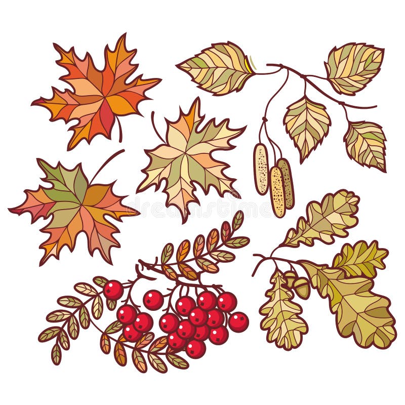 15 Easy Fall Leaf Drawing Ideas – Fall Leaves Drawing | Fall leaves drawing,  Leaf drawing, Leaf drawing easy