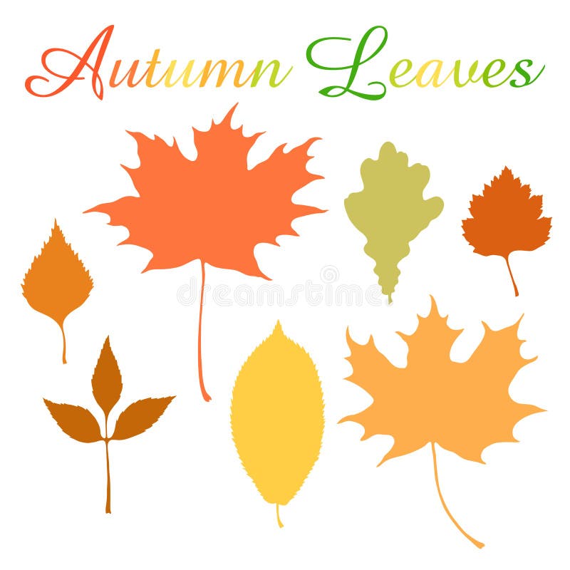 Autumn Leaves Stock Illustrations – 388,862 Autumn Leaves Stock  Illustrations, Vectors & Clipart - Dreamstime