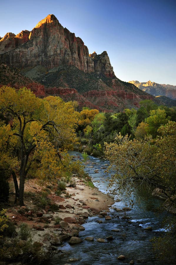 Fiery autumn leaves line an azure river coursing through Zion National Park in the Fall. Fiery autumn leaves line an azure river coursing through Zion National Park in the Fall.