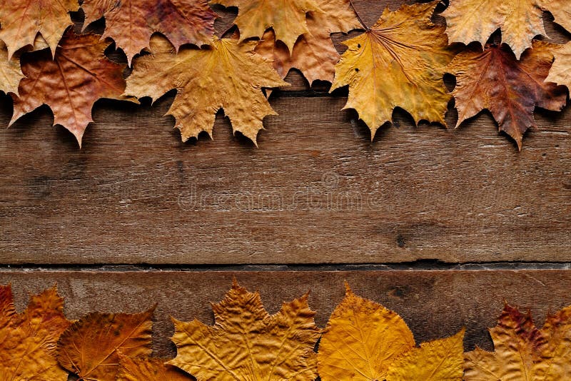 Autumn Leaves on Wooden Background with Copy Space. Wallpaper for September  1. Stock Image - Image of foliage, decoration: 148296807