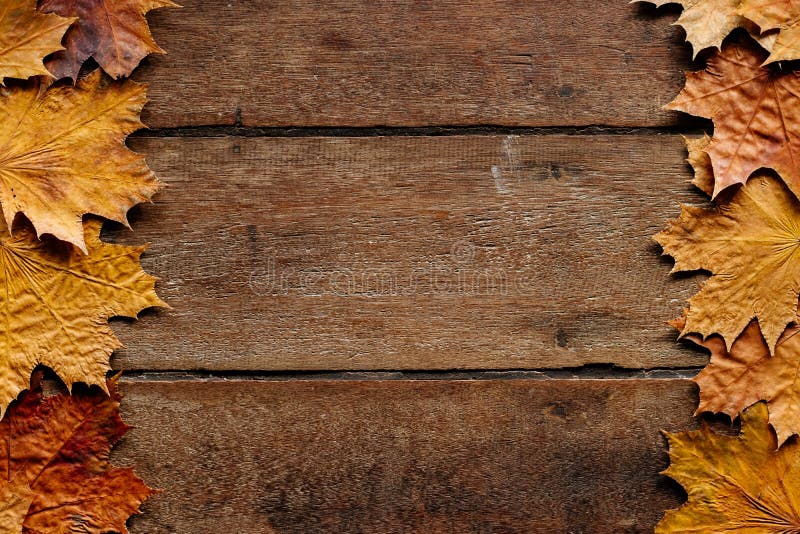 Autumn Leaves on Wooden Background with Copy Space. Wallpaper for September  1. Stock Photo - Image of orange, bright: 155435178