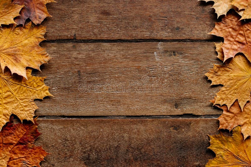 autumn leaves desktop background