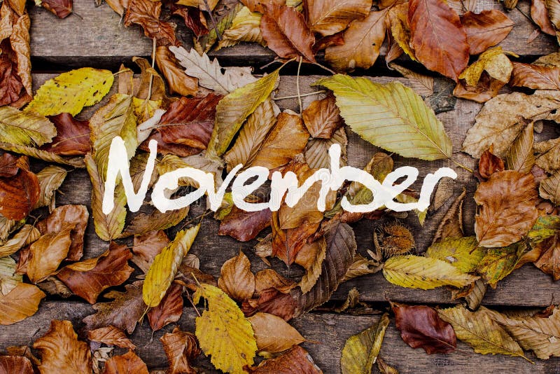 November Calendar Wallpaper  55 Best Desktop  Phone Backgrounds