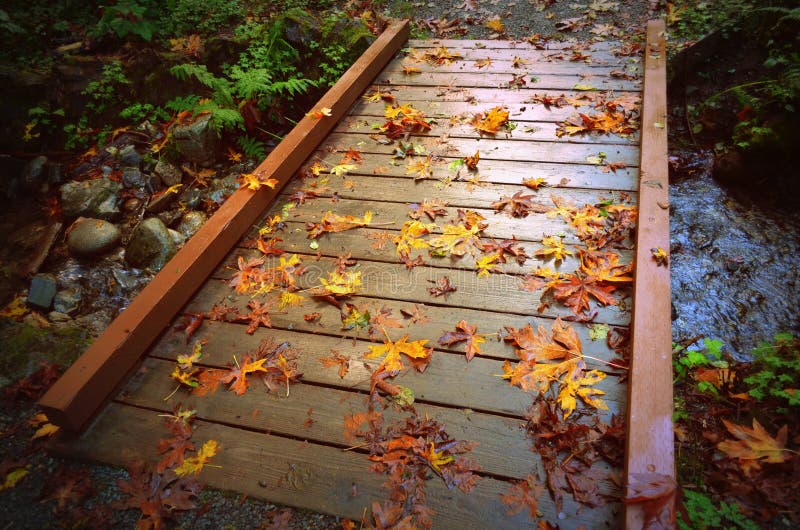 Autumn Leaves On Wooden Bridge Stock Image Image Of Bridge Rural