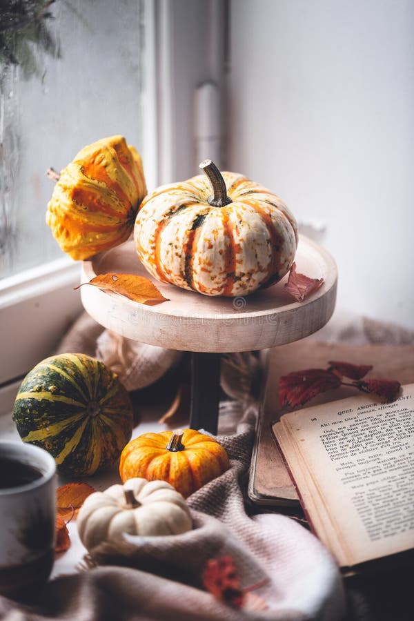 Autumn Lifestyle with Pumkin, Tea, Book and Blanket
