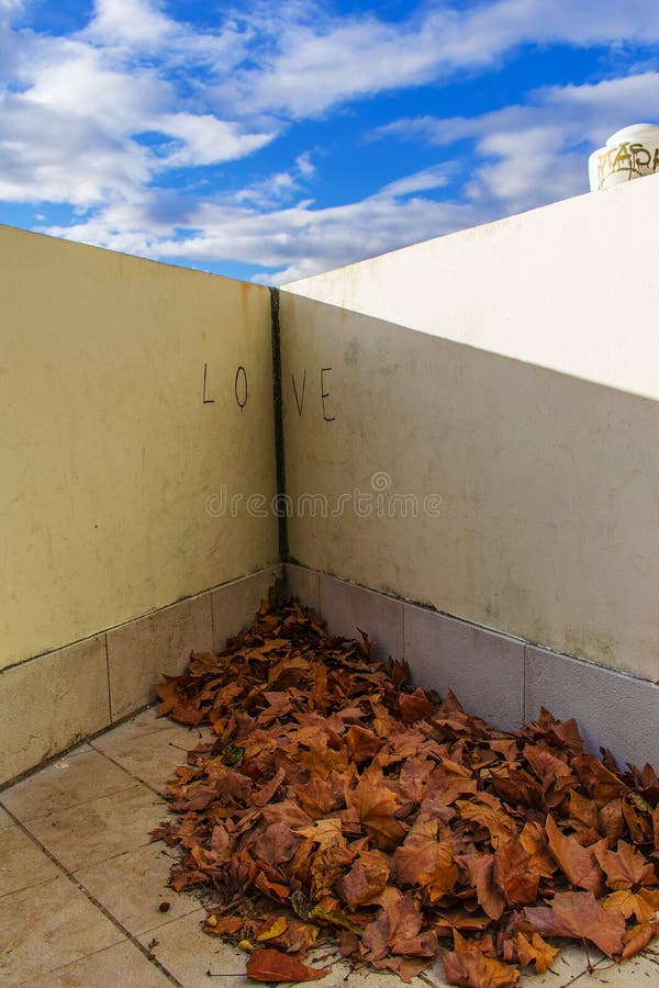 Love under the blue autumn sky