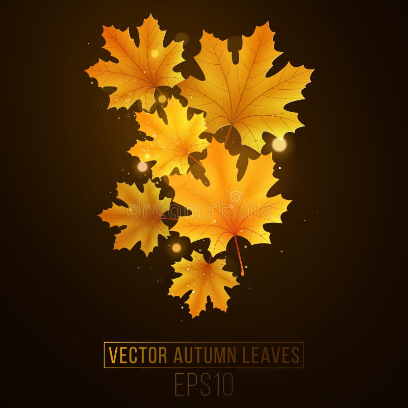 Autumn maple leaves glow on a black background. Fall festive template for your design. Abstract golden lights bokeh. Seasonal