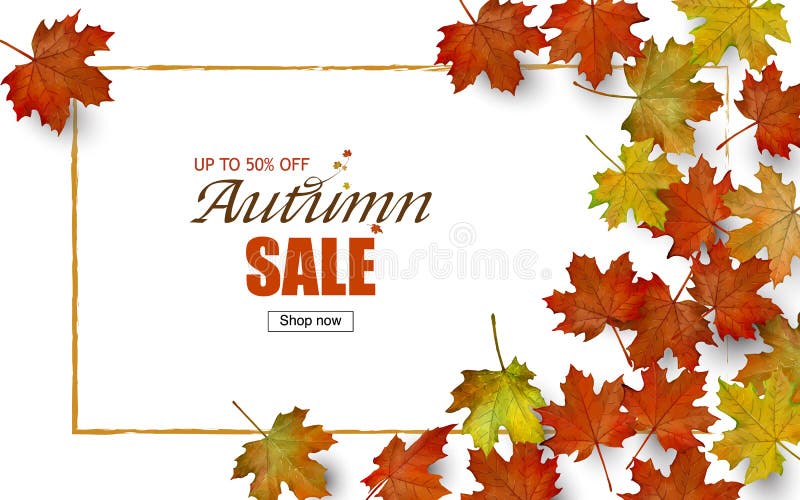 Autumn maple leaves web banner background template.