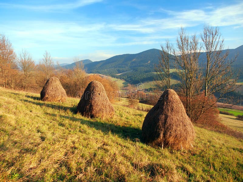 Autumn meadow with haystacks