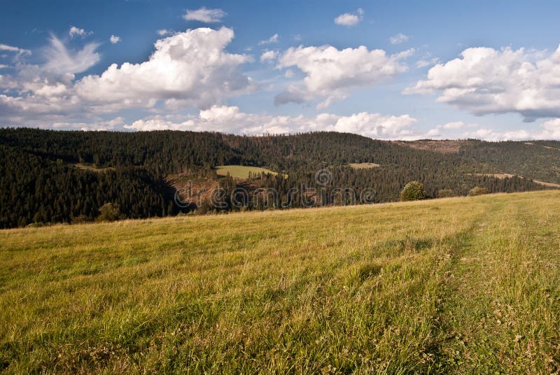 Autumn meadow with nice panorama of mountains in Slovakia