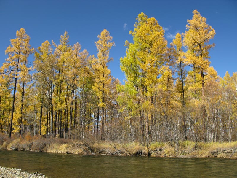 Autumn in Mongolia