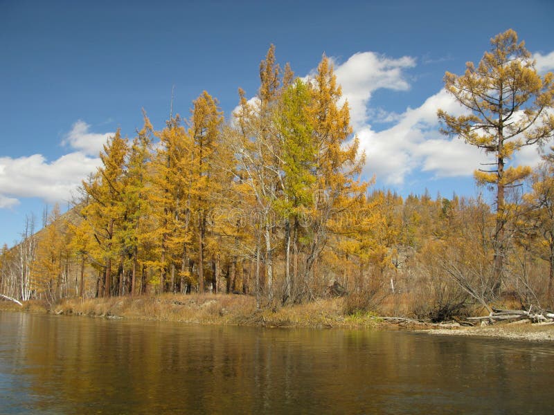 Autumn in Mongolia