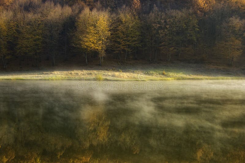 Autumn morning at the lake near a forest