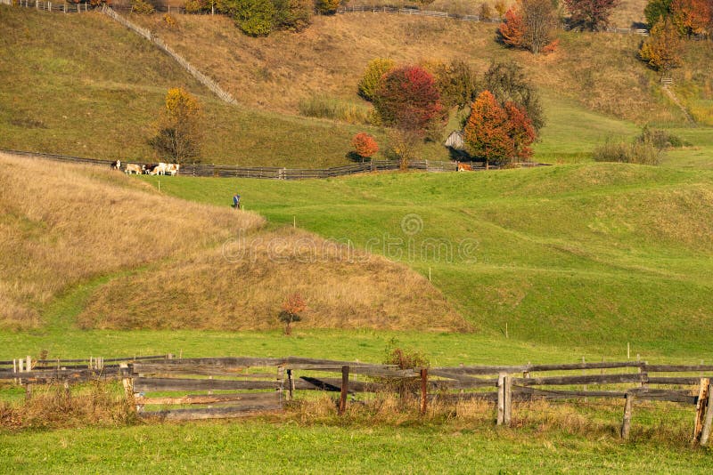 Autumn morning In the mountain of Transylvania, nature travel on the country side of Romania