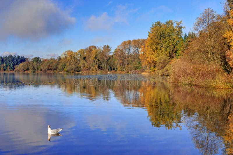 Autumn morning view of Deer Lake beach