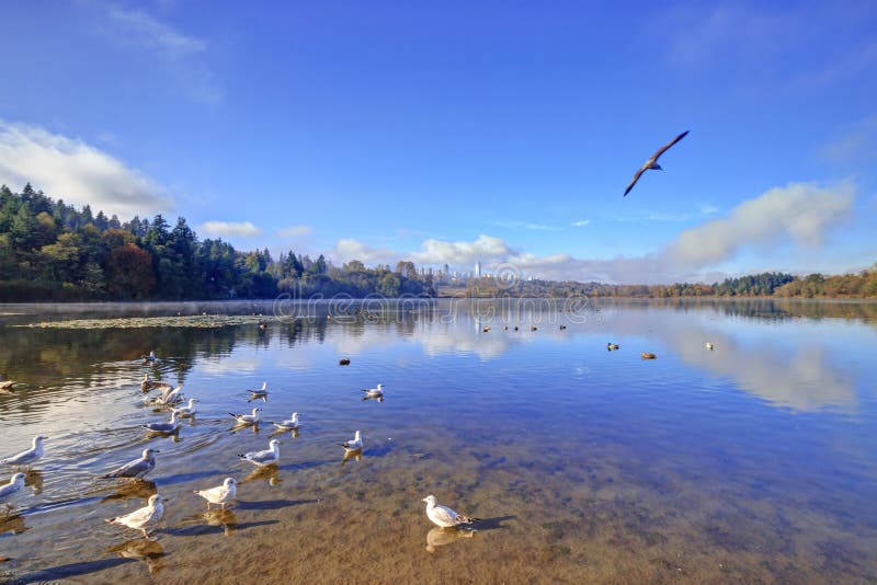 Autumn morning view of Deer Lake beach