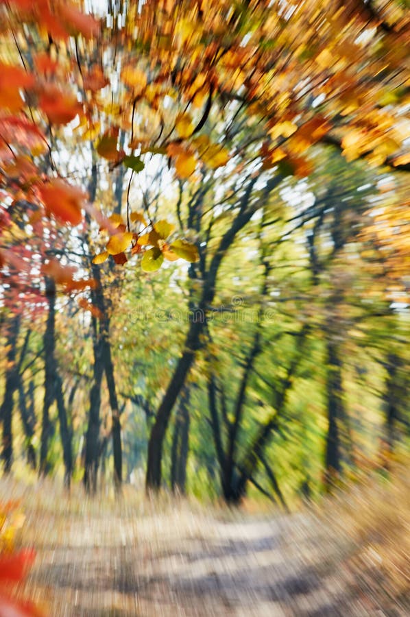 Autumn Motion Zoom Blurred Abstract Background Stock Photo Image Of