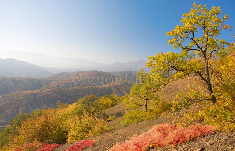 Autumn mountain royalty free stock image Autumn mountain royalty free stock image