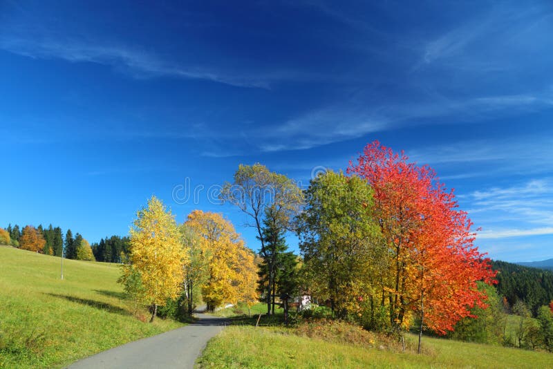 Autumn mountain landscape with blue sky