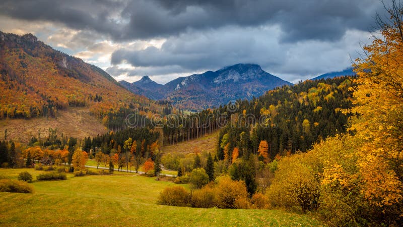 Autumn mountain landscape in the morning