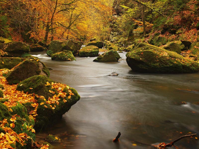 Autumn Mountain River With Blurred Waves Fresh Green Mossy Stones