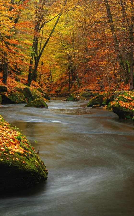 Autumn Mountain River With Blurred Waves Fresh Green Mossy Stones