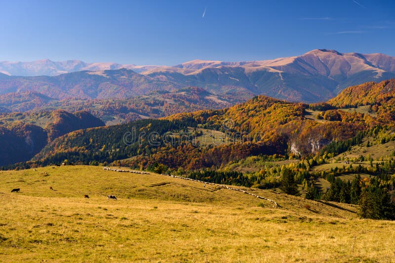 Autumn morning In the mountain of Transylvania, nature travel on the country side of Romania. Autumn In the mountain of Transylvania, nature travel on the royalty free stock image Autumn morning In the mountain of Transylvania, nature travel on the country side of Romania. Autumn In the mountain of Transylvania, nature travel on the royalty free stock image