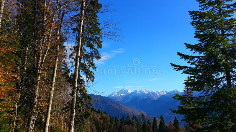 Download Autumn In The Mountains, Krasnaya Polyana, Russia Stock Photo - Image of beautiful, flora: 52662310