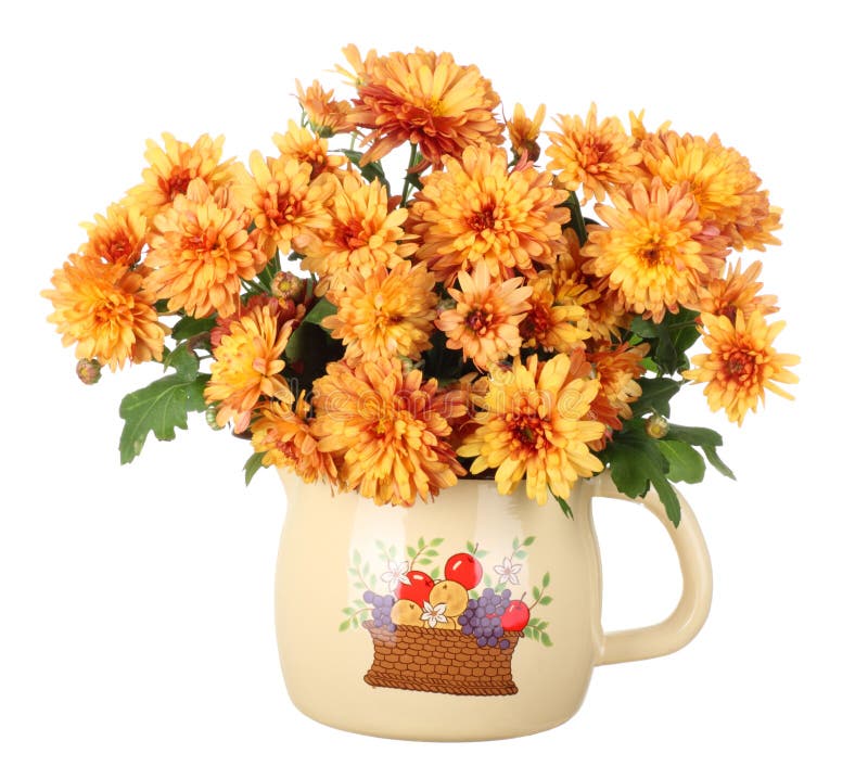 Bouquet Of White Mums In Pot Stock Image Image of country