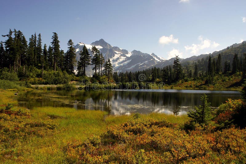 Autumn near Mt Shuksan