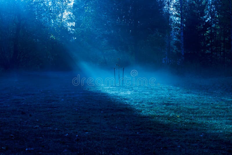 Autumn night moon light rays piercing through the trees and fog to the young small tree