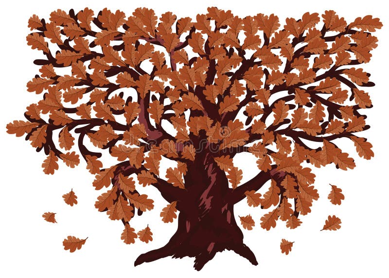 Autumn oak tree