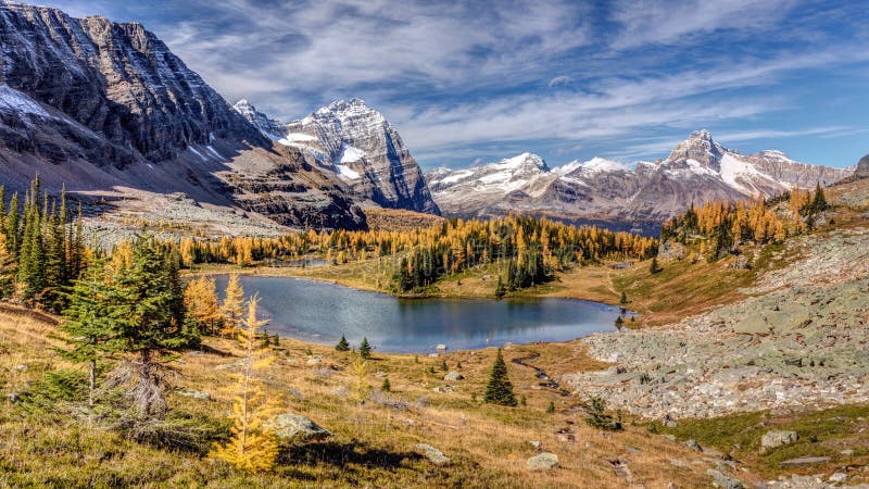 Autumn at the Opabin Plateau Stock Photo - Image of park, larch: 86471578