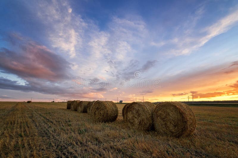 Autumn panorama rural field with cut grass at sunset