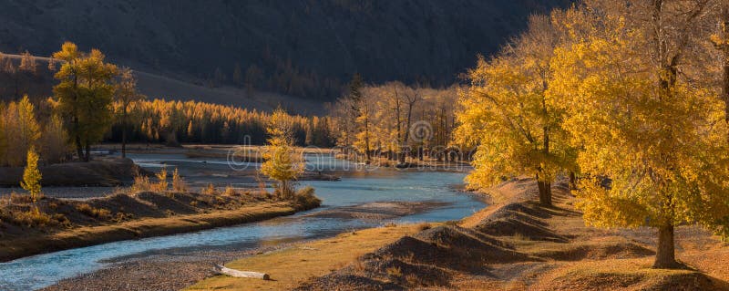 Autumn Panoramic Landscape Of un valle de la montaña con Emerald River, alerce amarillo y arboleda del álamo, Lit por The Sun Aut imágenes de archivo libres de regalías Autumn Panoramic Landscape Of un valle de la montaña con Emerald River, alerce amarillo y arboleda del álamo, Lit por The Sun Aut imágenes de archivo libres de regalías