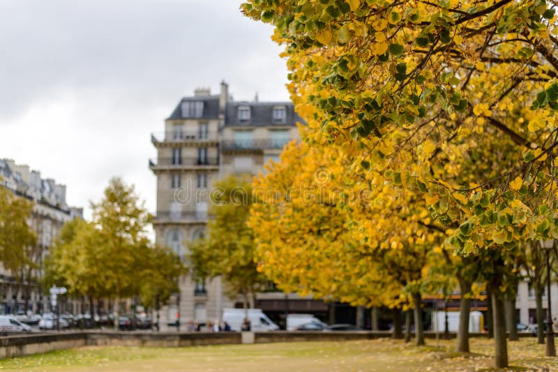 Autumn Paris,building among yellow trees focus on trees