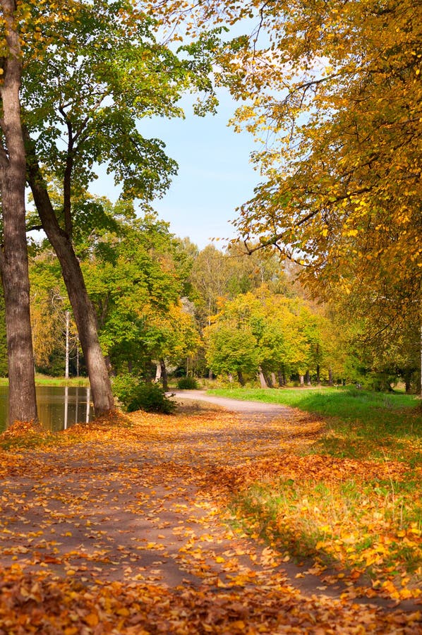 Autumn park royalty free stock image