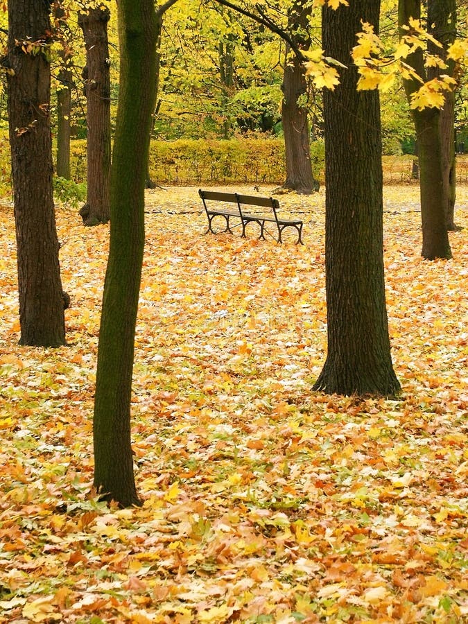 Autumn, Park, Bench