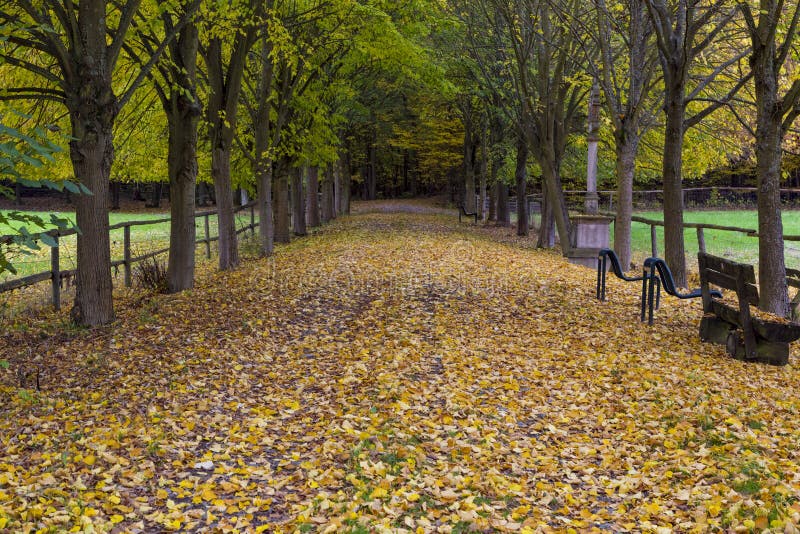 Autumn in the park. Hessenpark , Hesse, Germany stock photography Autumn in the park. Hessenpark , Hesse, Germany stock photography