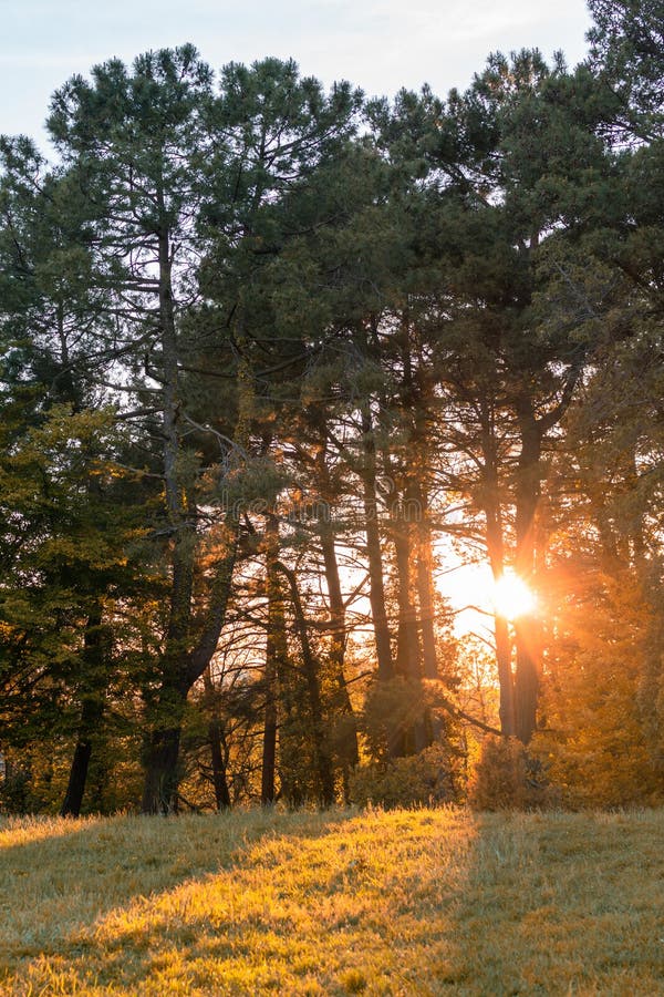Autumn park, light shining through trees and leaves stock photos Autumn park, light shining through trees and leaves stock photos