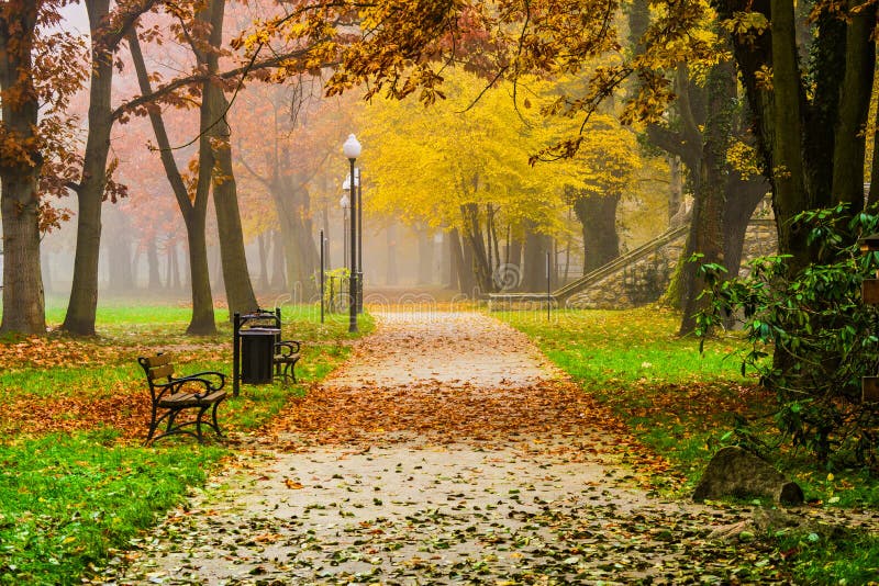 Autumn in a park in the town of Ilowa in Poland.