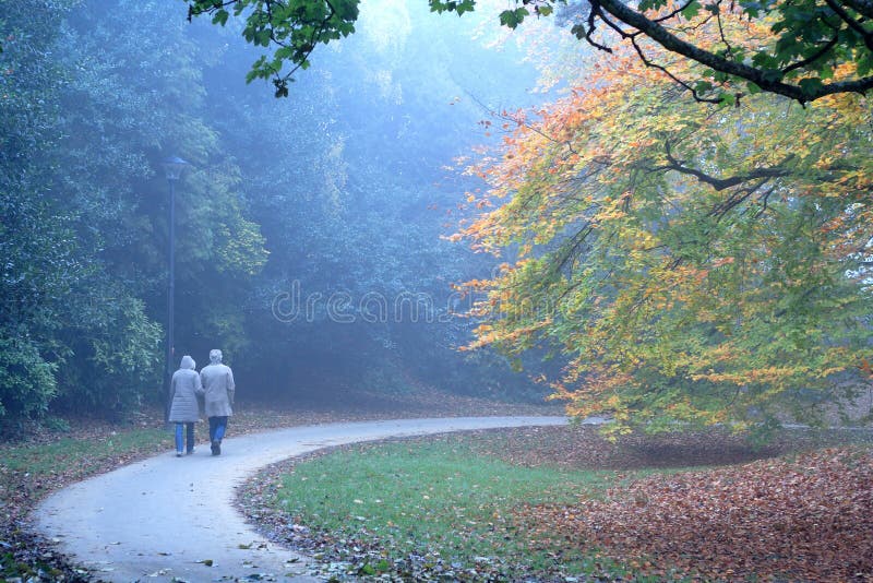 Paar gemeinsam gehen, durch den Herbst-Farben im park.