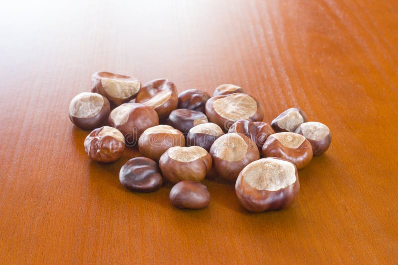 Autumn photo showing fresh chestnuts stock photo Autumn photo showing fresh chestnuts stock photo
