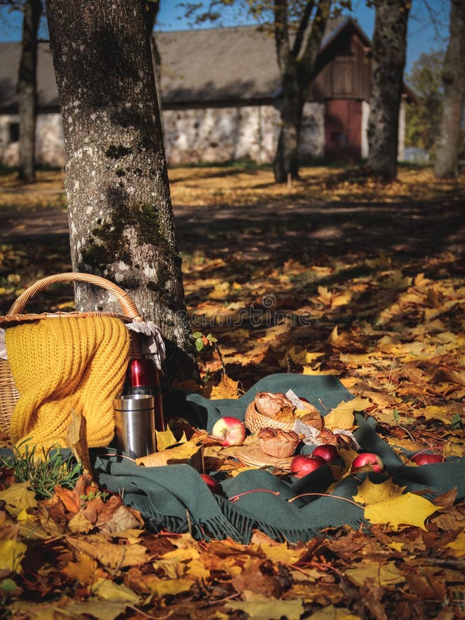 Autumn Picnic on a Blanket with Apples, Cinnamon Buns and Thermoses ...