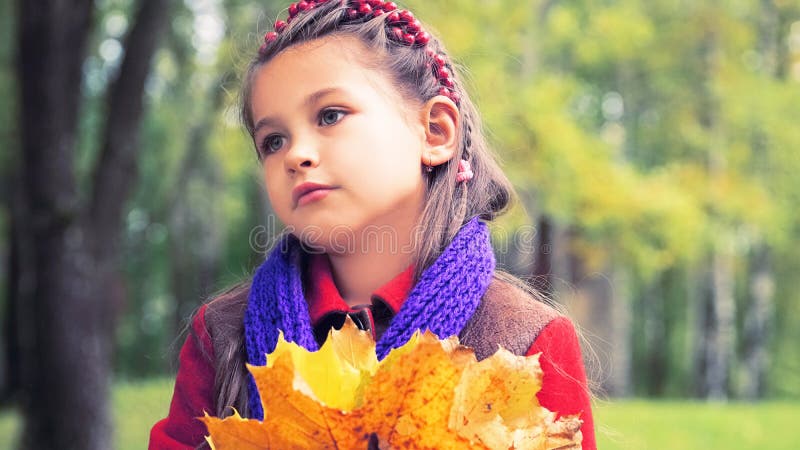 Autumn portrait of the nice little girl in red coat. In her hands a bouquet of yellow maple leaves. Sunny autumn day stock photography Autumn portrait of the nice little girl in red coat. In her hands a bouquet of yellow maple leaves. Sunny autumn day stock photography