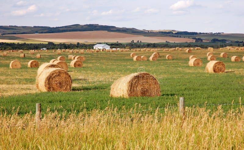 Autumn prairie and straw piles