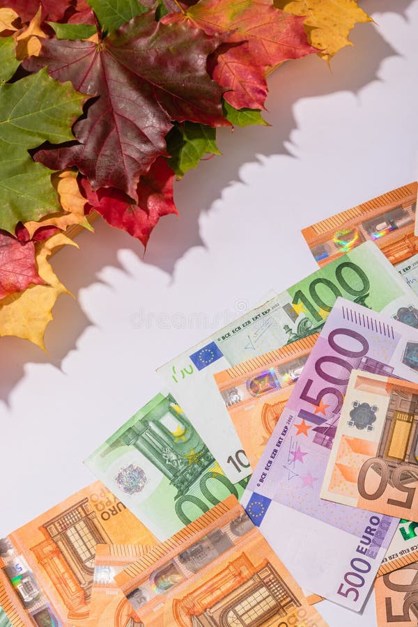 Prices fall concept. Background from euros and colored maple leaves stock image Prices fall concept. Background from euros and colored maple leaves stock image